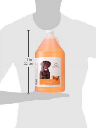 Picture of Hydrosurge Pet Shampoo - Ultra Clean Shampoo Gallon - Tangerine Scent