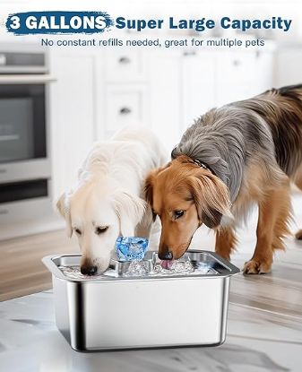 Picture of Large Dog Water Fountain Stainless Steel