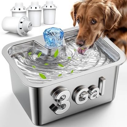 Picture of Large Dog Water Fountain Stainless Steel