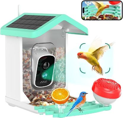 Picture of Bird Feeder with Camera