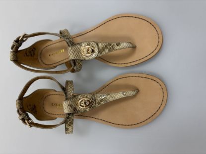 Picture of Coach Women's Sandals Ingrid Print Snake Skin Q7144 Natural-Size 7.5M