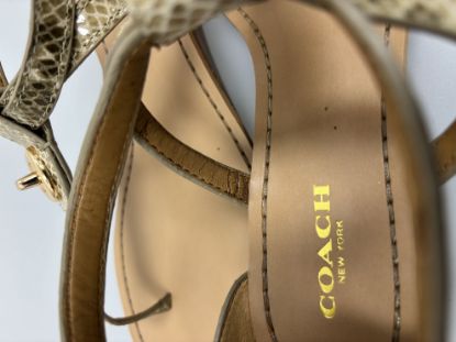 Picture of Coach Women's Sandals Ingrid Print Snake Skin Q7144 Natural-Size 7.5M