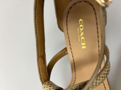 Picture of Coach Women's Sandals Ingrid Print Snake Skin Q7144 Natural-Size 7.5M