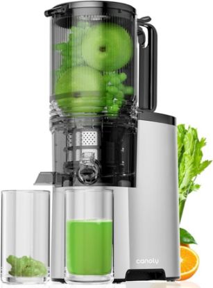 Picture of EanOruus Cold Press Juicer
