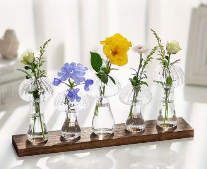 Picture of 5pcs Cute Mushroom Glass Planters