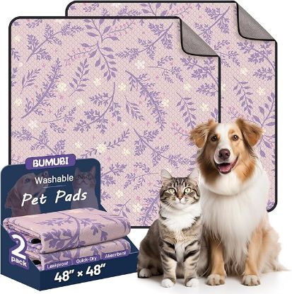 Picture of Washable Dog Pee Pads 48x48 (Pack of 2)-Purple Multicolor