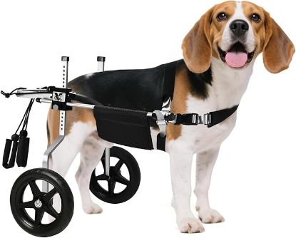 Picture of All-Terrain Dog Wheelchair for Back Legs